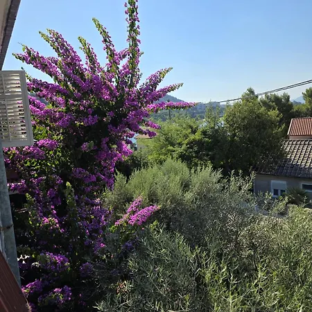 Appartement Vede